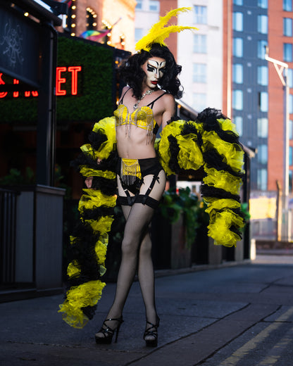 Black and Yellow Organza Boa