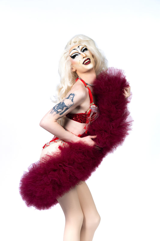 Red Wine Tulle Boa